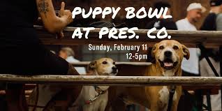 Get Ready for the Ultimate Puppy Bowl Experience at Red Apple Farm