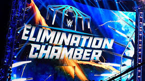 Pirates Disrupt WWE Elimination Chamber Transport Plans