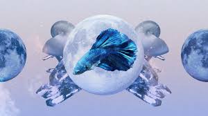 Astrology Predictions for Pisces in April 2024