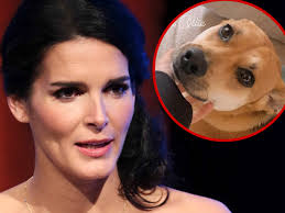 Angie Harmon’s Shocking Encounter: Family Dog Fatally Shot By Deliveryman