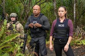 NCIS: Hawai’i Canceled After 3 Seasons: The Shocking Decision by CBS