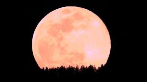 April 2024 Pink Moon: A Celestial Spectacle in the Sky