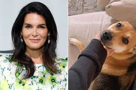 Angie Harmon’s Dog Tragedy: Sues Instacart and Delivery Driver After Horrific Incident