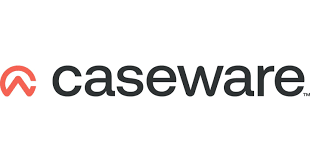 Revolutionizing Accounting and Audit with AI-Powered Digital Assistant