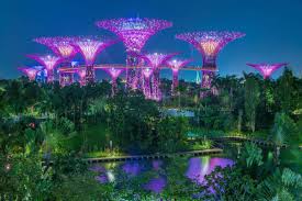 Discover the Best Insider Tips for Traveling to Singapore