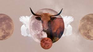 Exciting Horoscope Predictions for Taurus in June 2024