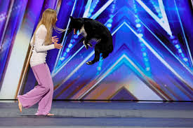 Unleashing the Magic: The Canine Dancer That Stole Sofia Vergara’s Heart on AGT