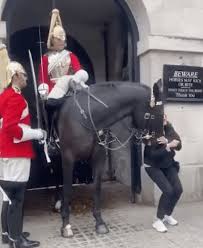 Explore the Majesty of Buckingham Palace with a Visit to The Household Cavalry Museum