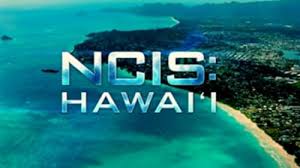 Shocking Response from CBS President to Outraged NCIS: Hawaii Viewers