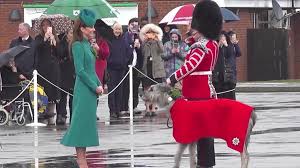 Princess of Wales steals the show at Trooping the Colour