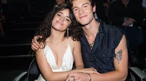 Camila Cabello and Shawn Mendes Spotted Together at Copa America Final in Miami