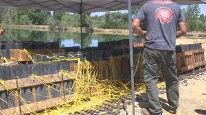 Fireworks Spectacular at Jackson County Expo for Independence Day Celebration