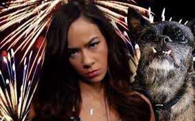 AJ Lee Issues Warning Over 4th of July Fireworks Scaring Her Dog Larry