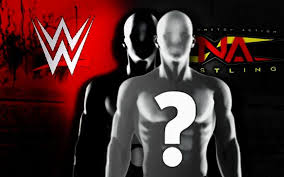 Exciting Future Plans Revealed for WWE and TNA Collaboration