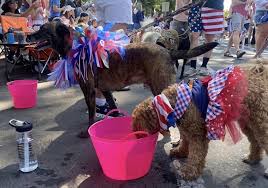 Tips for Keeping Your Pet Safe and Comfortable During Bend’s Fourth of July Pet Parade