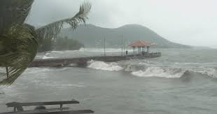 Actress Sheryl Lee Ralph Braces for Tropical Cyclone in Jamaica: Urges Everyone to Stay Safe